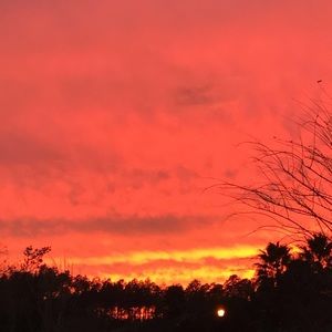 Meet your Posher, Landon